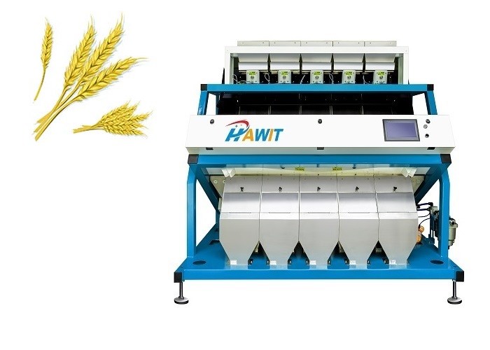 Multi каналы отвергают меловую сортировщицу цвета пшеницы в линии пшеничной муки филируя